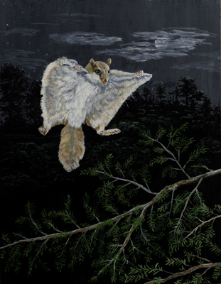 flying Squirrel